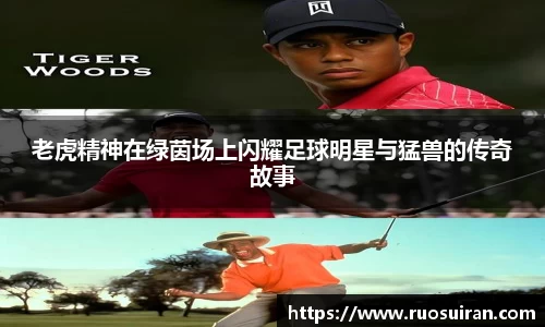 ballbet艾弗森体育